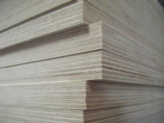 China Plywood Manufacturer /factory -xingang Group