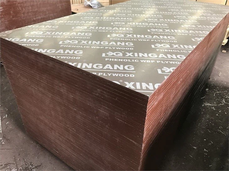 Xingang film faced plywood