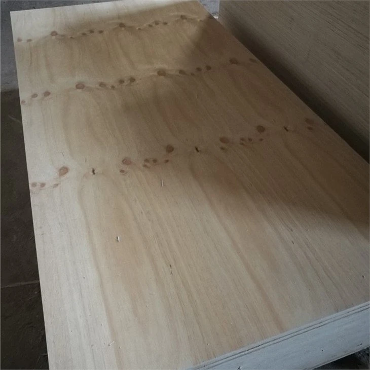 15 structural CD pine plywood for construction 4