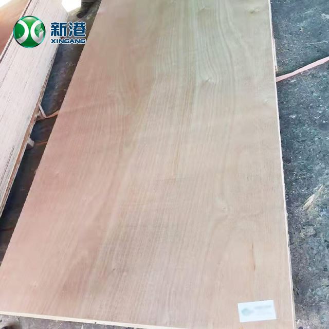 1220*2440*18mm Commercial Plywood Cheap Plywood Furniture Plywood Bintangor Okoume Birch Faced Sheet