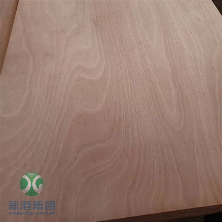 Okoume BB Face Poplar Back 3mm Thin Commercial Plywood