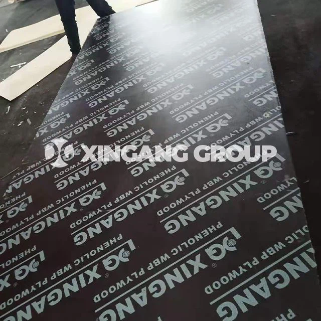 in Bulk Construction Plywood