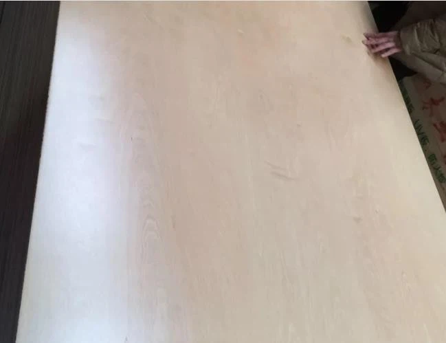 China UV Coated Full Birch Plywood Manufacturer