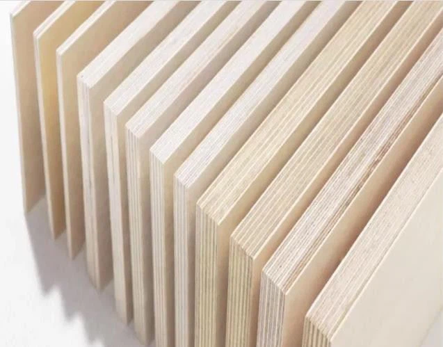 China UV Coated Full Birch Plywood Manufacturer