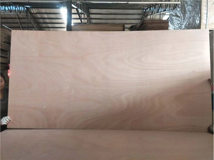 Okoume/Bintangor/Pine/Birch/Sapale Commercial Plywood 1220x2440mm