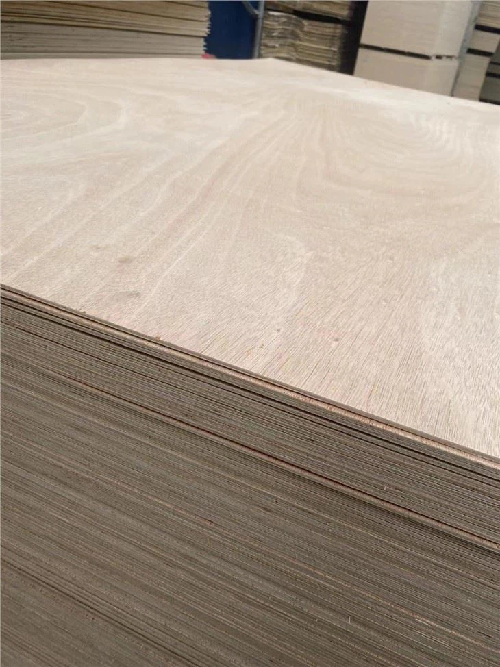 XINGANG COMMERCIAL PLYWOOD POPLAR CORE FUNITURE GRADE