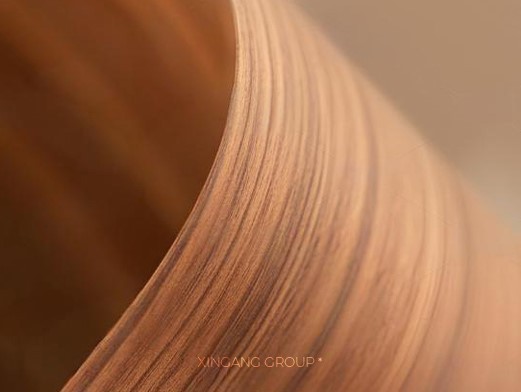 EB Technology EB Technology